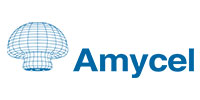 Amycel